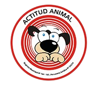 Actitud Animal