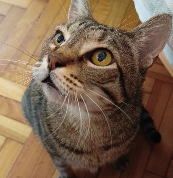 Olga